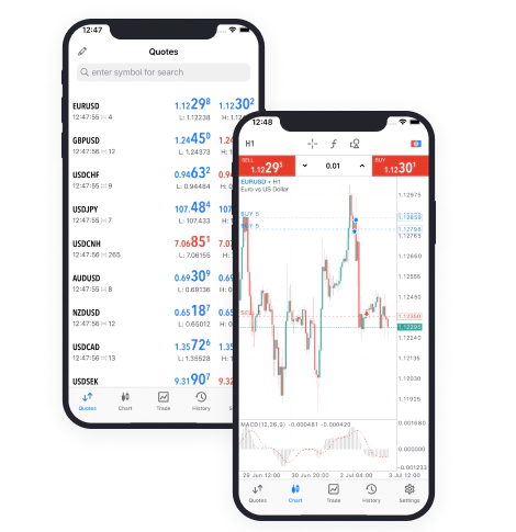 MetaTrader 4 (MT4)